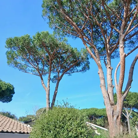 Molletta Vila Punta Ala