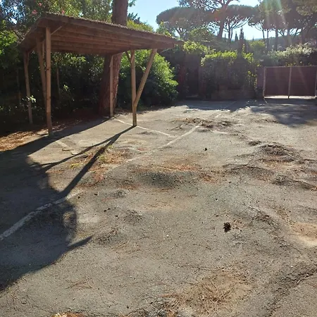 Molletta Vila *