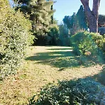 Molletta Villa *
