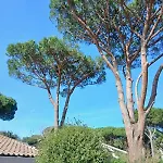 Molletta Villa Punta Ala