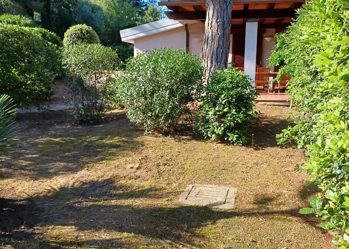 Molletta Vila
