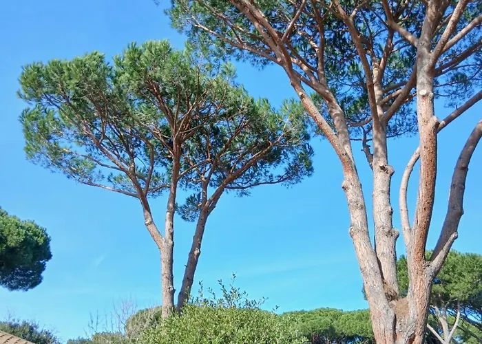 Molletta Vila Punta Ala